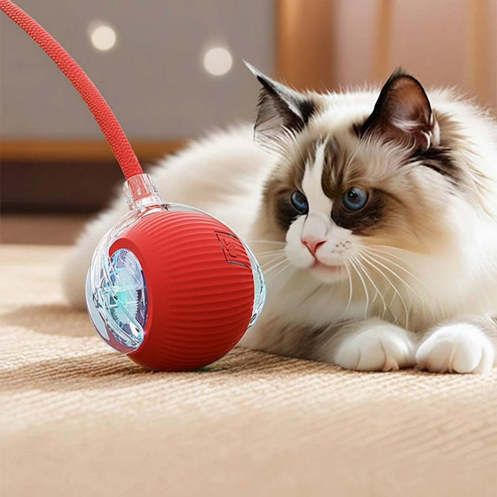 Smart Interactive Rolling Cat Toy Ball